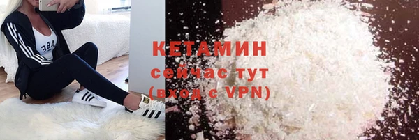 стафф Коряжма