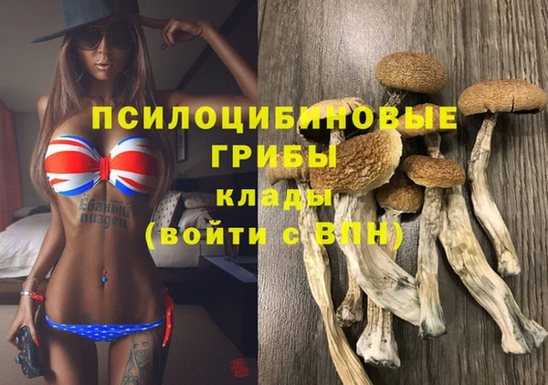 а пвп мука Лиски