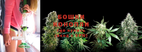 Альфа ПВП Лихославль