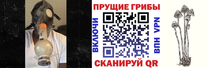 Псилоцибиновые грибы мицелий  продажа наркотиков  Феодосия 