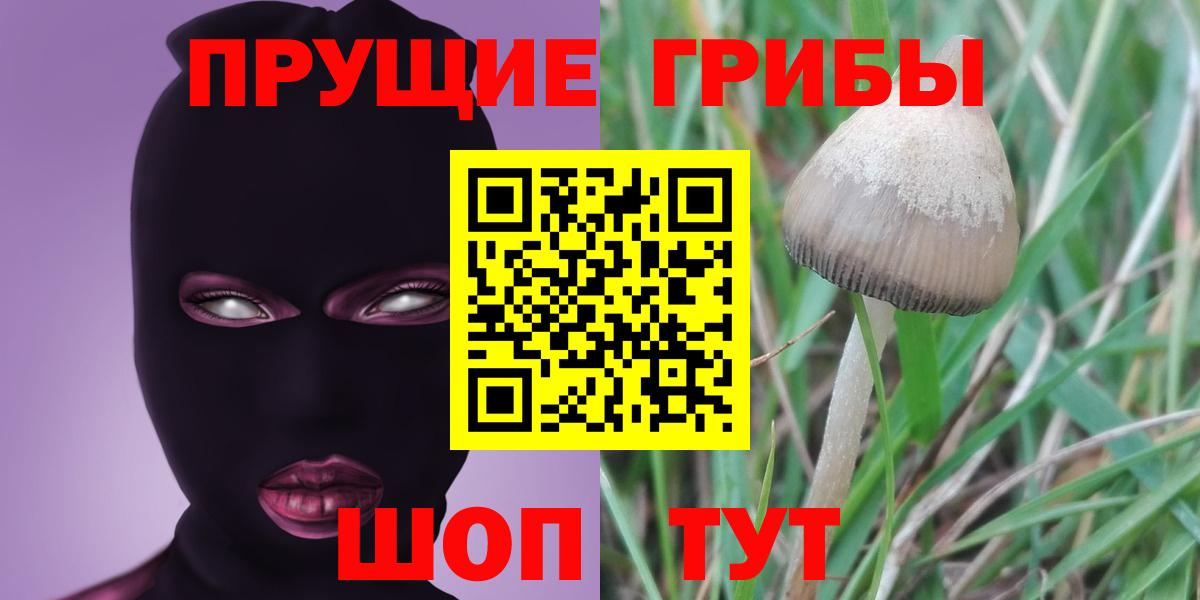 Феодосия  Псилоцибиновые грибы MAGIC MUSHROOMS  наркотики  Вход с VPN 